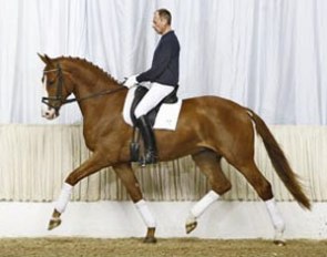 Werner, Price Highlight of the 2009 Verden Summer Auktion