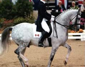 Gina Smith and her grey Dutch warmblood gelding Fledermaus (by Purioso)