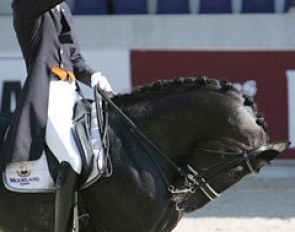 Edward Gal and Totilas halt and salute for the Prix St Georges at the 2008 CDIO Aachen