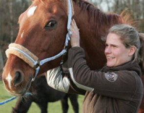 Sarah started with a general check up, looking for tension and hot spots in her muscles going from neck to shoulder, back, hindquarters and legs.