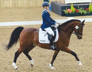Magic Heidehof's Aleandro