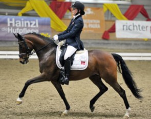 Aphrodite at the 2013 CDI-P Stadl Paura