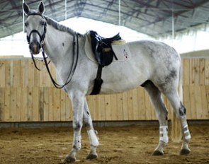 Aramis