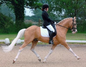 Schermeer's Hof Arendsoog 