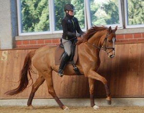Balbina Lerup (by Belissimo M x Lauries Crusador xx)