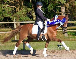 FEI Dressage Pony B Capriole