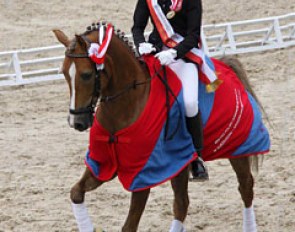 Be My Boy wins the 2012 Polish Pony Championships
