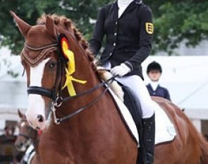 Bendix (by Contango x Jazz)