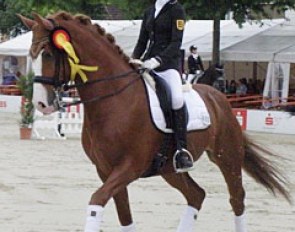 Bendix (by Contango x Jazz)