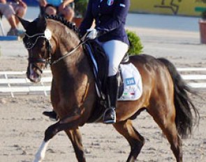 Blakt's Thomas at the 2013 European Pony Championships
