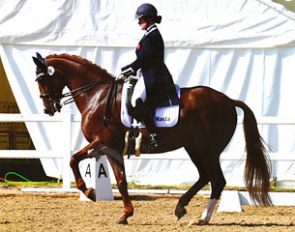 Headmore Boadicia (by Belissimo M x Giorgione)