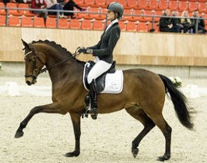 Burberry (by Lord Loxley x Kelvin)