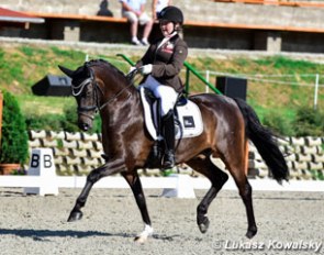 Candyman at the 2017 European Pony Championships :: Photo © Lukasz Kowalski