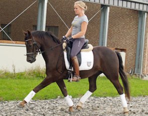 Caspar W (by Campari W x Desperado K)