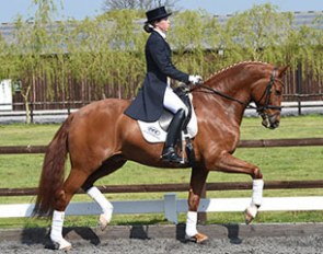 Cerano Gold (by Serano Gold x Lancelot)