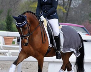 Champion de Luxe Junior