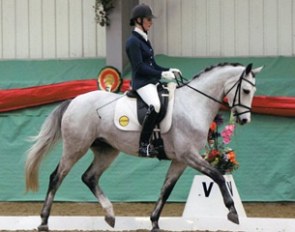 Claudia, 2007 born KWPN mare by Lucky Boy x Allegretto