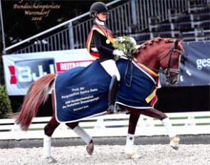Daily Pleasure WE, winner of the 2016 Bundeschampionate