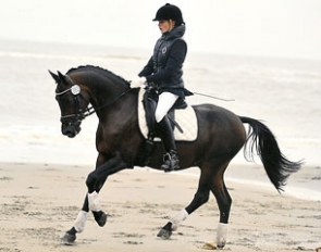 D'Artagnon (by Dressmann x Folklore)