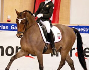FEI Dressage Pony Davidoff (by Dreamdancer x Dressman I)