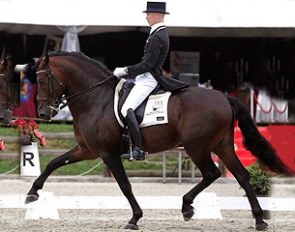 Decano xxx, PRE/APTO licensed stallion by Jarillero x Neon