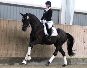 HP Diana (by Furstenball x De Niro x Bolero)