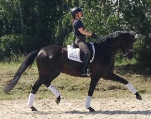 Domain (by Don Frederico x Wolkentanz)