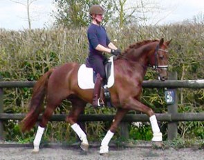 Don Davian (by Don Juan de Hus x Lancaster)