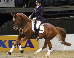Donna Del Lago (by Don Schufro x Heslegards Star Light)