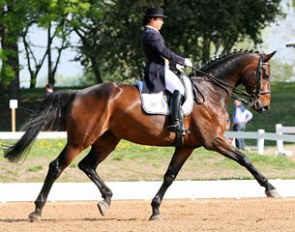 Dreamer T (by Dream of Love x Davignon)