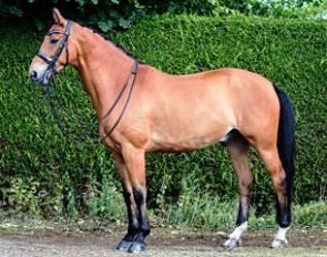 Eager Khan
