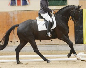 Fairclough (by Florencio x Pik Noir x Ramino)