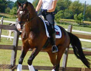 Fil Rouge (by Stedinger x Argentinus x Sandro Hit)