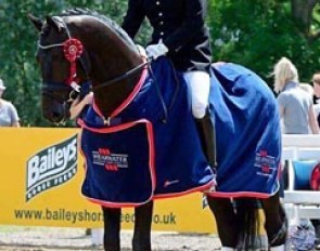 Gladstone (by Bodyguard x Sandro Hit)