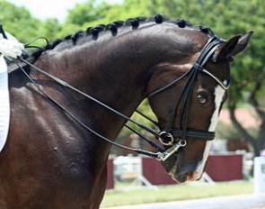 High Empire (by Harvard x Woermann)
