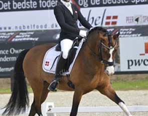 Omlor's Kiesboy at the 2017 CDI-P Uggerhalne :: Photo © Ridehesten