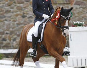 FEI Dressage Pony Klinsmann