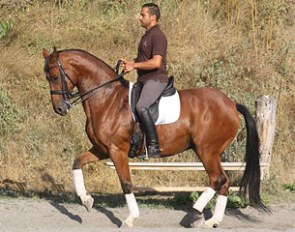 Lautrec (by Landclassic x Gibraltar)
