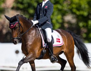 Lilo L at the 2016 European Pony Championships