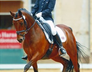 DHI Lionceau at the 2012 CDI Pompadour