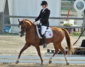 FEI Dressage Pony Lynet