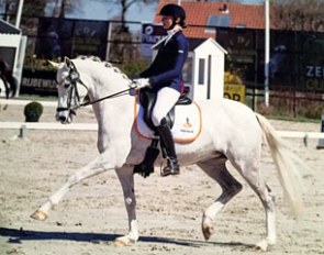 Mystery Dancer at the 2016 CDI Nieuw en St. Joosland :: Photo © Digishots