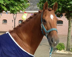 The beautiful face of Northern Dancer