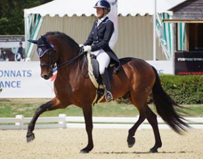 Osado 04 at the 2015 French Dressage Championships in Vierzon