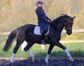 Ratisbona (by Royal Classic x Jazztime) :: Photo © LL-foto