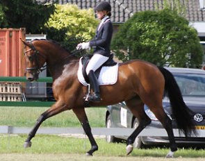 Ravanti C (by Rubinstein x Depardieu)