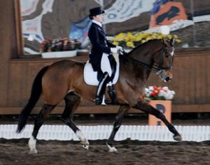 Rhylaine N (by Krack C x Zalmeco)