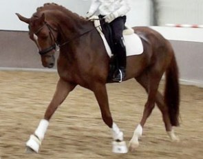 Rubilinde (by Furst Romancier x Castro)