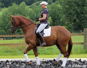Sans Souci shows talent for piaffe