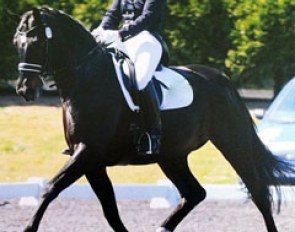 Shadowfax (by Sandro Hit x Rubinstein)